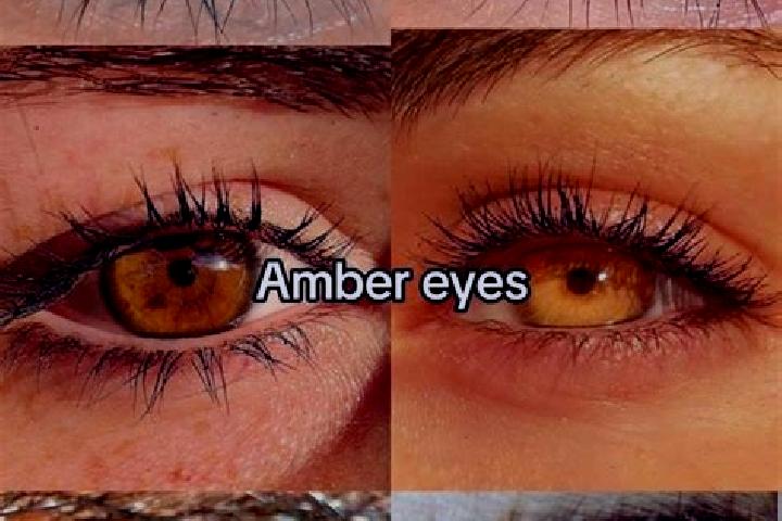 Sienna, 25, a chestnut amber-eyed caucasian companion based in Zhize. Offering OWO, Duos. Available for incall and outcall, overnight bookings available.