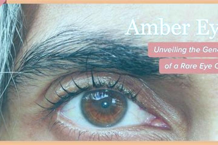 Sienna, 25, a red amber-eyed slavic companion based in Tallaboa Alta. Offering Couples, Domination, Dinner Date. Available for incall and outcall, overnight ...