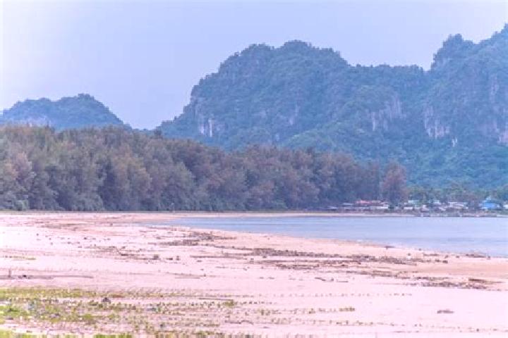 Sienna, 25 — Escort in Chum Ta Bong, Thailand