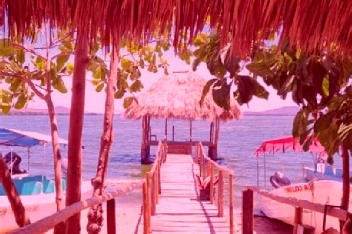 Sienna, 25 — Escort in El Zapotalito, Mexico