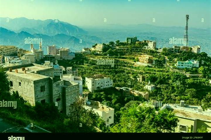 Sienna, 25 — Escort in Fayfa , Saudi Arabia
