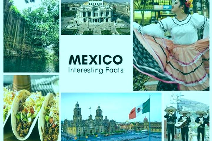 Sienna, 25 — Escort in Segunda Seccion, Mexico