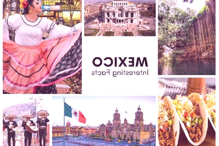 Sienna, 25 — Escort in Xitlama, Mexico