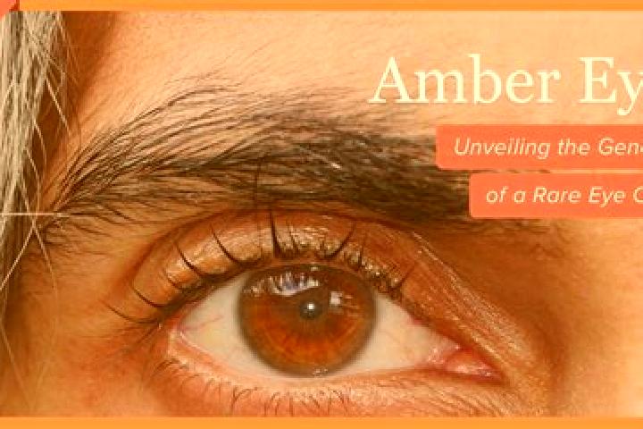 Sienna, 26, a black amber-eyed mediterranean companion based in Sokobanteng. Offering Tantra, Overnight, Dinner Date, Deep French Kissing. Available for inca...