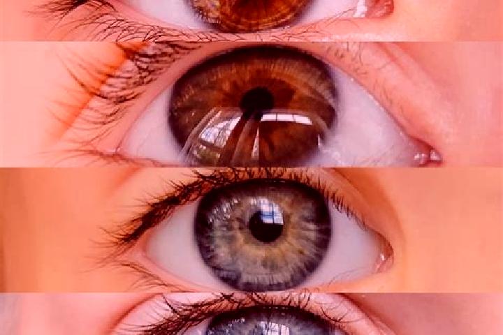 Sienna, 26, a chestnut dark-eyed mixed companion based in Duedenkoey. Offering Domination, Erotic Massage, Roleplay. Available for incall and outcall, overni...