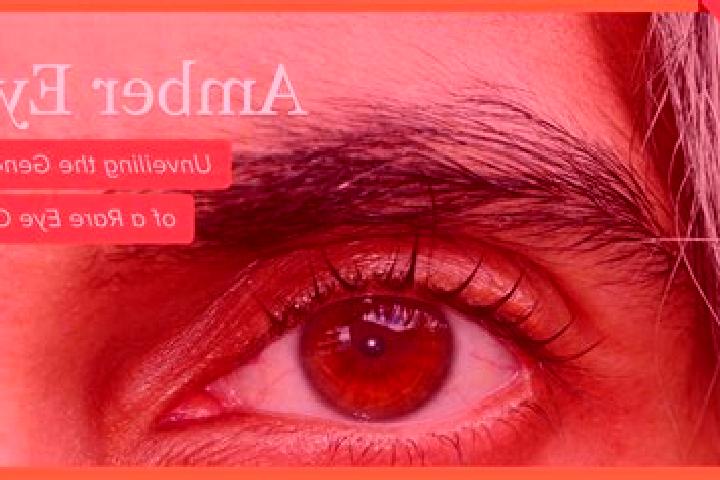 Sienna, 26, a red amber-eyed european companion based in Bay View. Offering 69, Girlfriend Experience, Duos. Available for incall and outcall, overnight book...