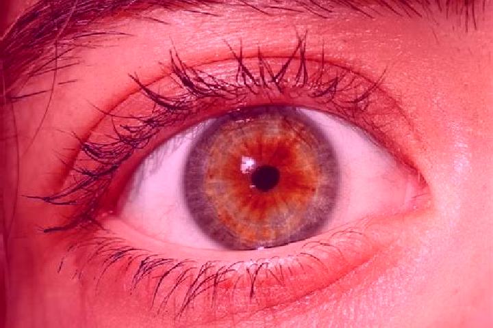 Sienna, 26, a red hazel-eyed slavic companion based in Derrinturn. Offering BDSM, Duos. Available for incall and outcall, day and evening dates.