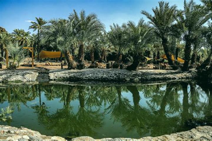 Sienna, 26 — Escort in Al Qatif, Saudi Arabia