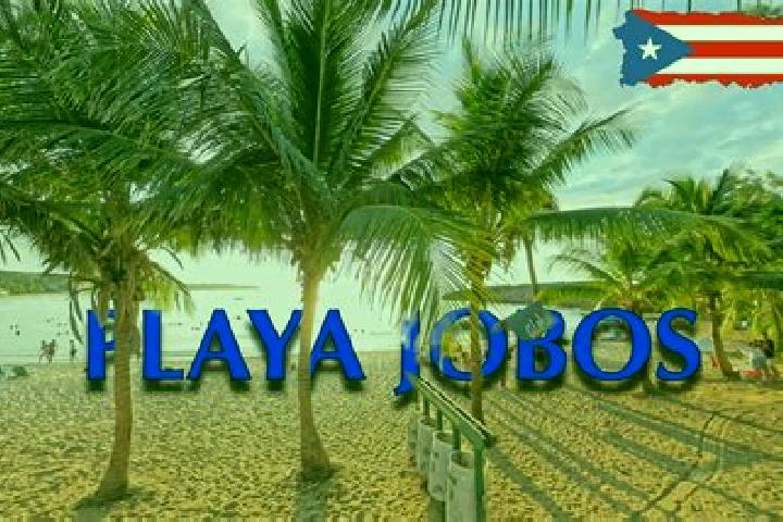 Sienna, 26 — Escort in Jobos, Puerto Rico