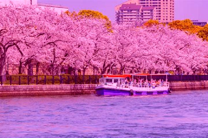 Sienna, 26 — Escort in Nakanoshima, Japan