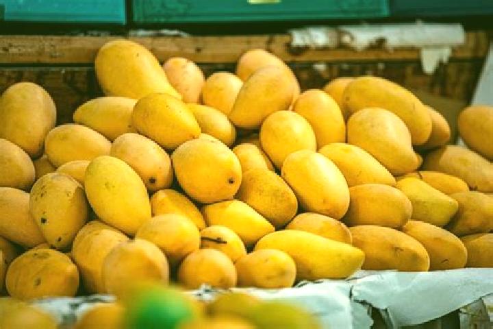 Sienna, 26 — Escort in Plan de los Mangos, Mexico