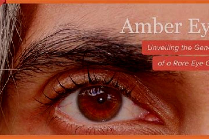 Sienna, 27, a red amber-eyed middle eastern companion based in Caiave. Offering Domination, Duos, GFE. Available for incall and outcall, overnight bookings a...