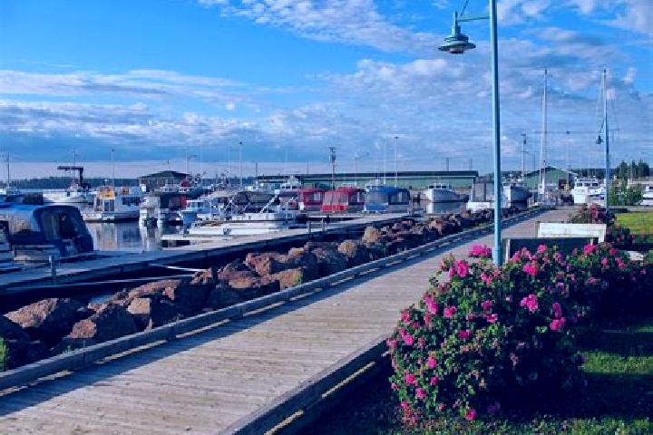 Sienna, 27 — Escort in Cap-de-Richibucto, Canada