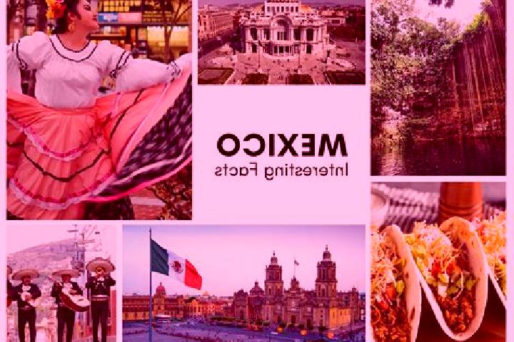 Sienna, 28 — Escort in Patelna, Mexico