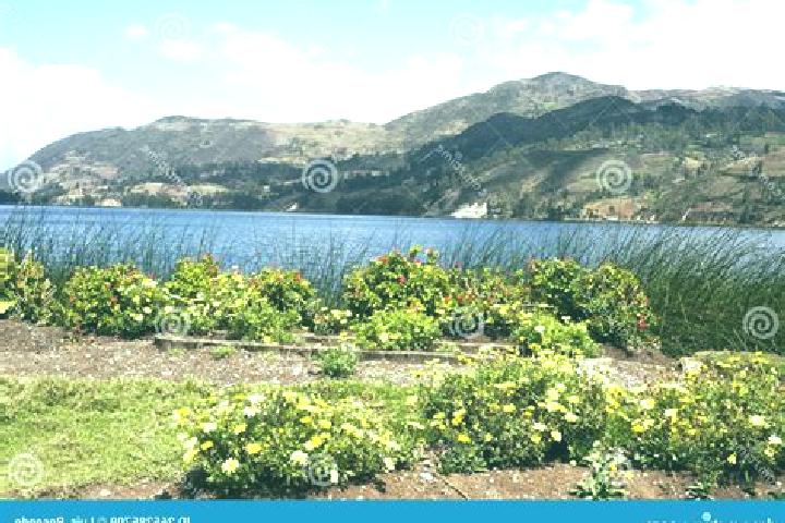 Sienna, 29 — Escort in Abancay, Peru
