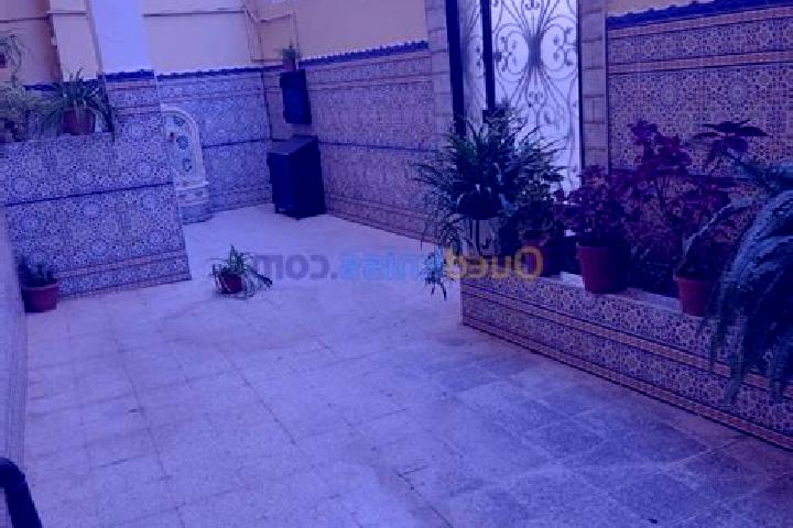 Sienna, 29 — Escort in Beni Tamou, Algeria
