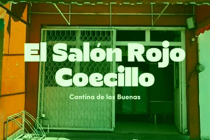 Sienna, 29 — Escort in Coecillo, Mexico