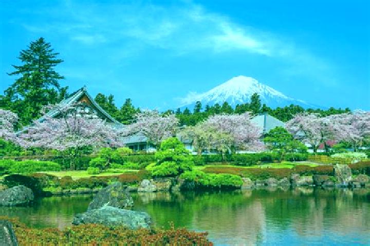 Sienna, 29 — Escort in Fujinomiya, Japan