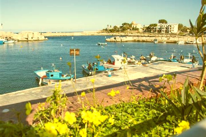 Sienna, 29 — Escort in Isola delle Femmine, Italy