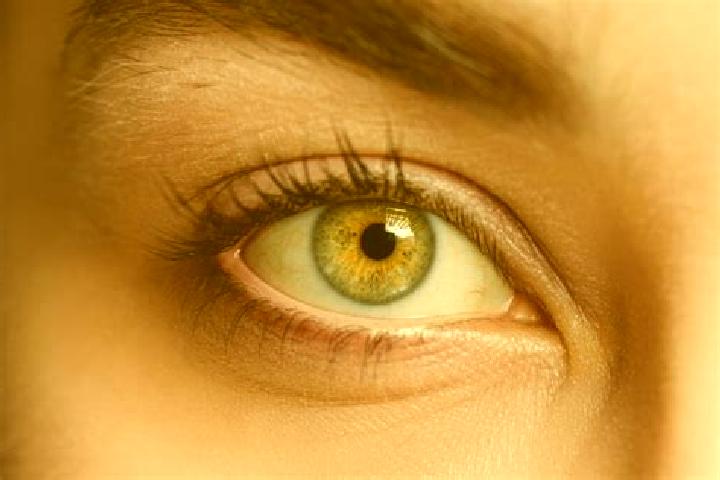 Sienna, 30, a chestnut hazel-eyed mixed companion based in Goekcek. Offering BDSM, A-Level, CIM, Massage. Available for incall and outcall, overnight booking...
