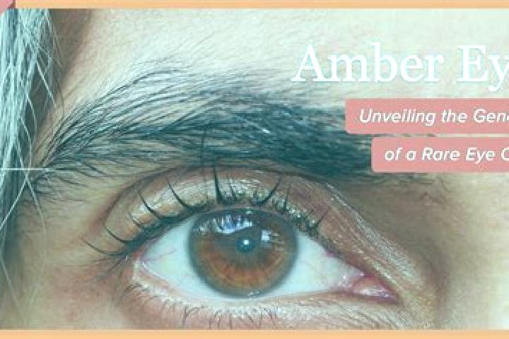 Sienna, 30, a red amber-eyed latina companion based in Crespiatica. Offering 69, Roleplay, A-Level. Available for incall and outcall, overnight bookings avai...