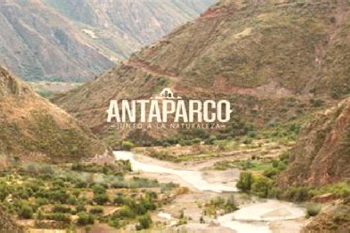 Sienna, 30 — Escort in Antaparco, Peru