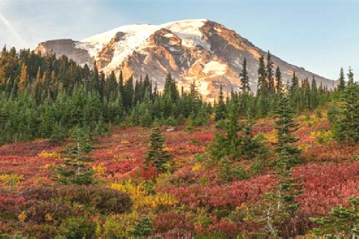 Sienna, 30 — Escort in Mount Rainier, United States