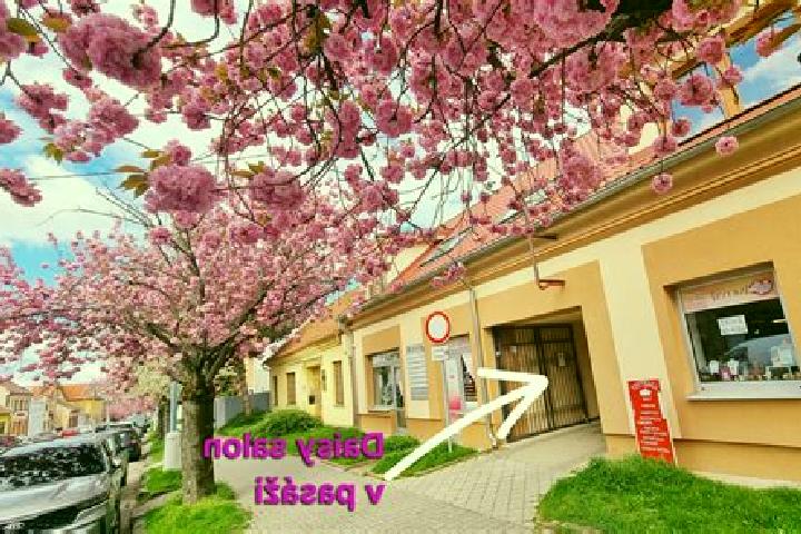 Sienna, 30 — Escort in Rakova, Slovakia
