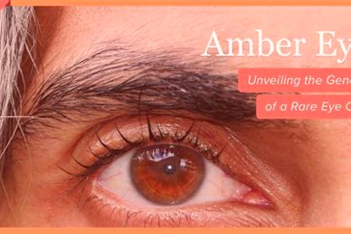 Sienna, 31, a black amber-eyed indian companion based in Pozoblanco. Offering Overnight, BDSM, Couples. Available for incall and outcall, overnight bookings ...