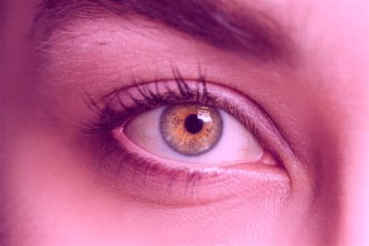 Sienna, 31, a chestnut hazel-eyed mixed companion based in Znamyanka. Offering Domination, Dinner Date, Overnight, GFE. Available for incall and outcall, ove...