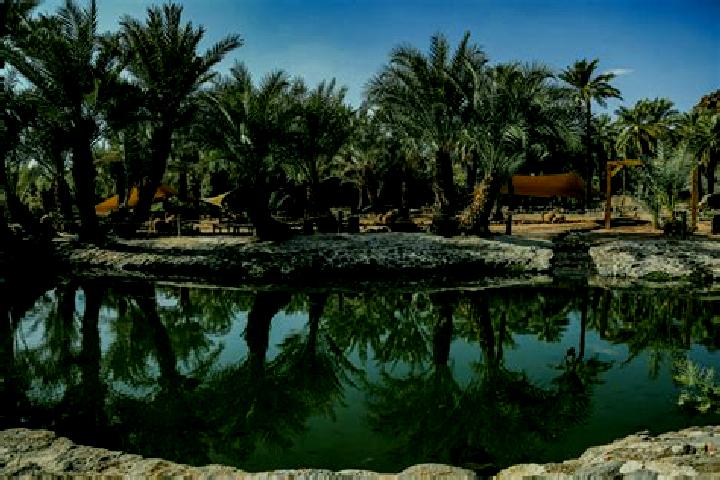 Sienna, 31 — Escort in Al Qatif, Saudi Arabia