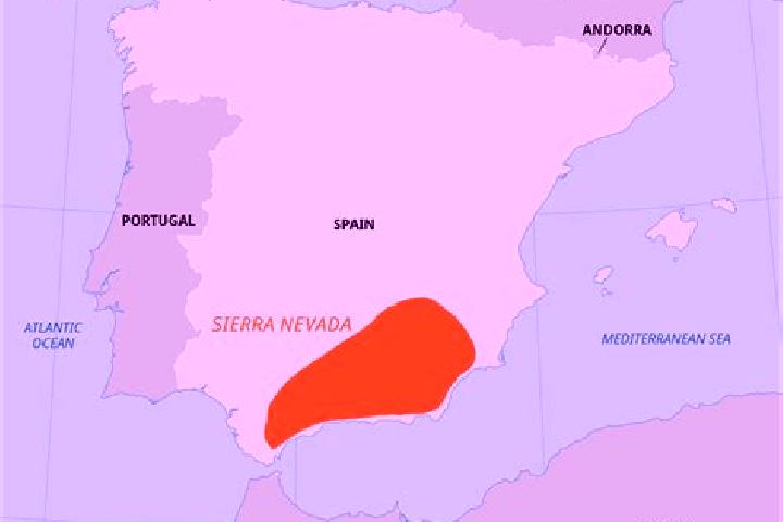 Sienna, 31 — Escort in Butarque, Spain