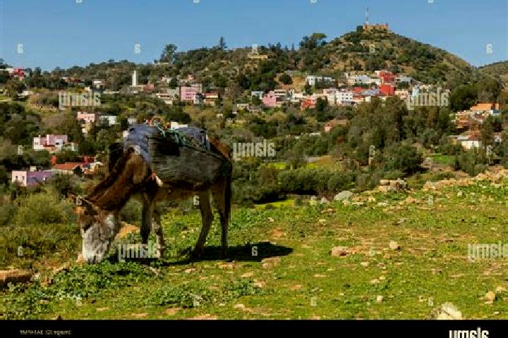 Sienna, 32 — Escort in Ouezzane, Morocco