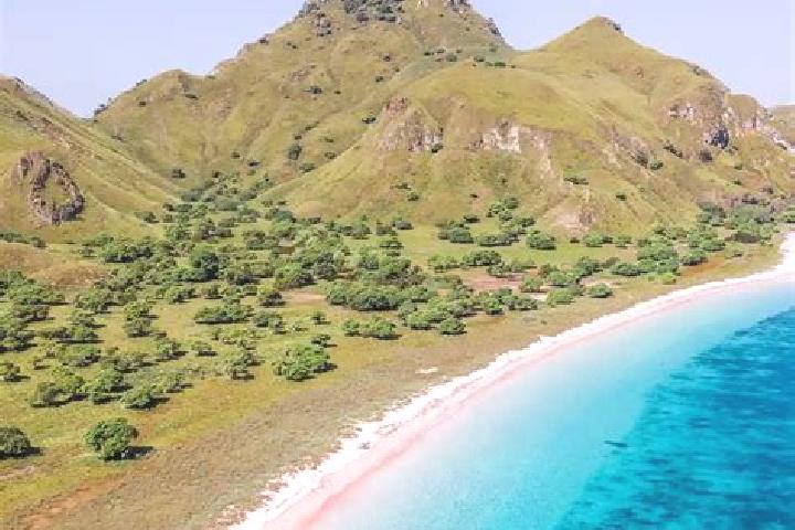 Sienna, 32 — Escort in Tatakamotonga, Tonga
