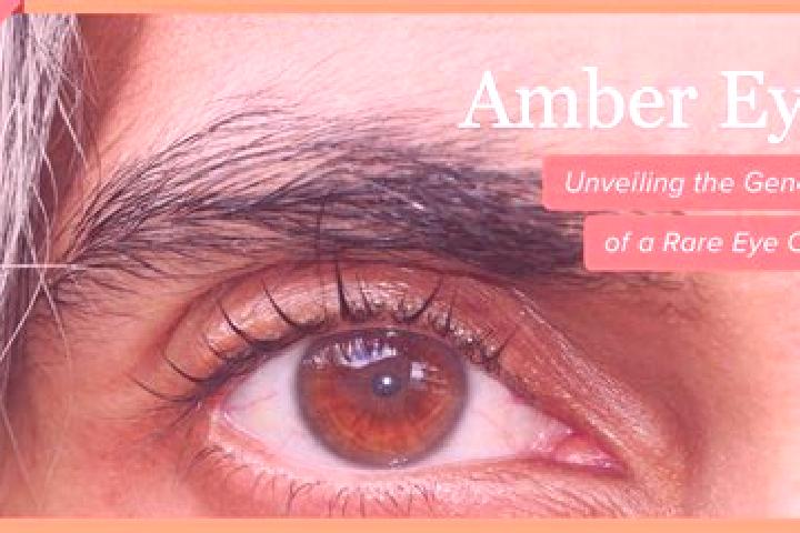Sienna, 33, a red amber-eyed ebony companion based in Ablon. Offering 69, GFE. Available for incall and outcall, day and evening dates.