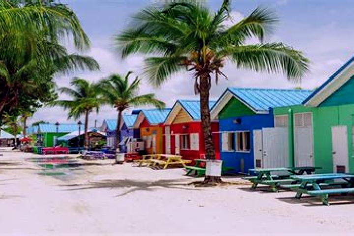 Sienna, 33 — Escort in Blackmans, Barbados