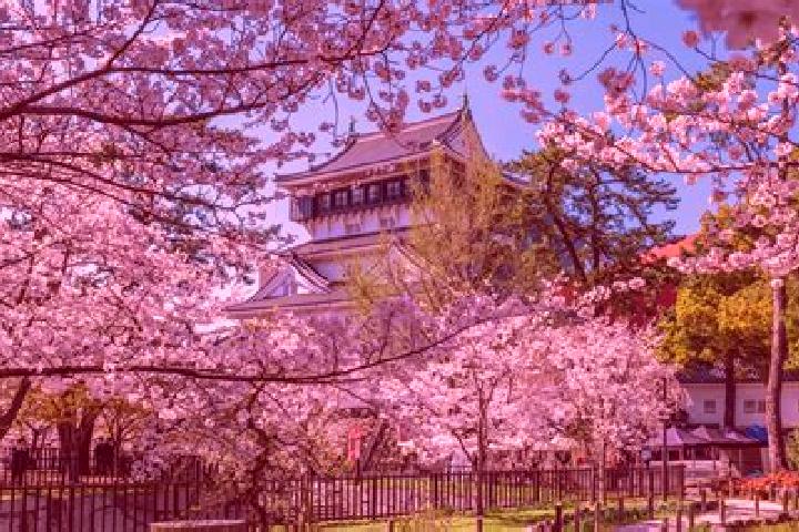 Sienna, 33 — Escort in Kitakyushu, Japan