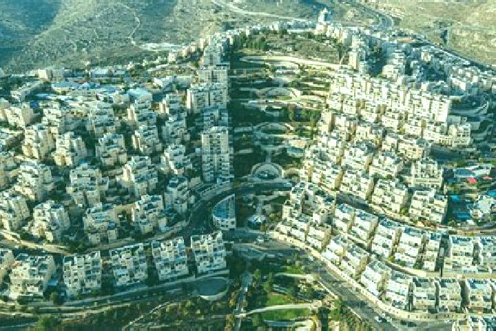 Sienna, 34 — Escort in Qalandiya, Palestine