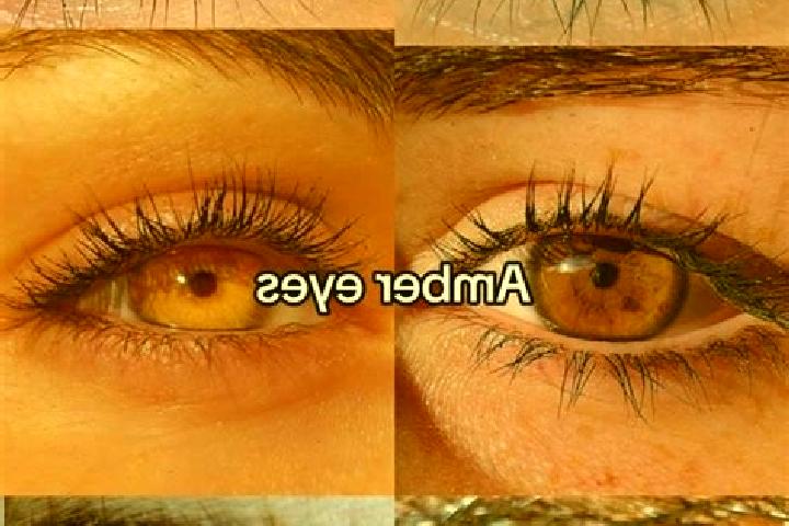 Sienna, 35, a chestnut amber-eyed mediterranean companion based in Khambhaliya. Offering Dinner Date, Duos. Available for incall and outcall, overnight booki...