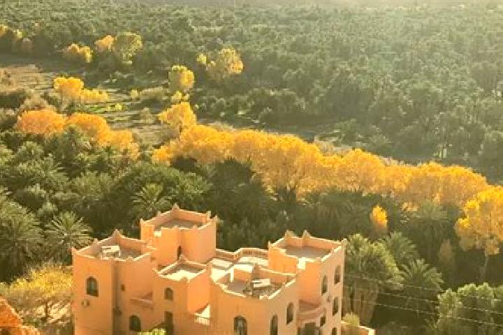 Sienna, 35 — Escort in Aoufous, Morocco