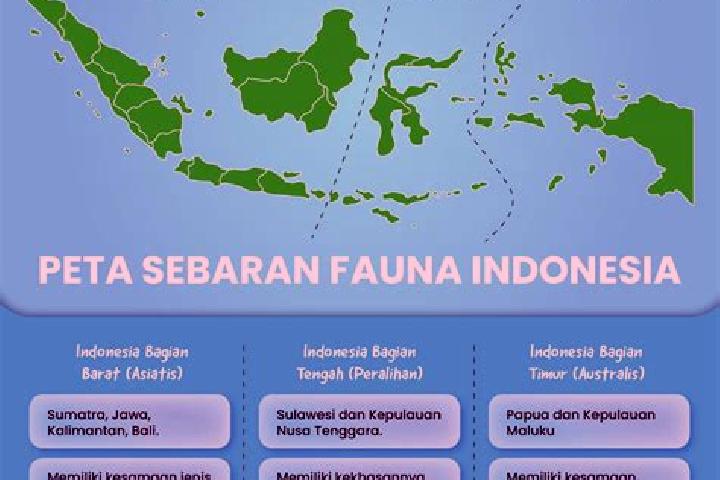 Sienna, 35 — Escort in Burujul Tengah, Indonesia