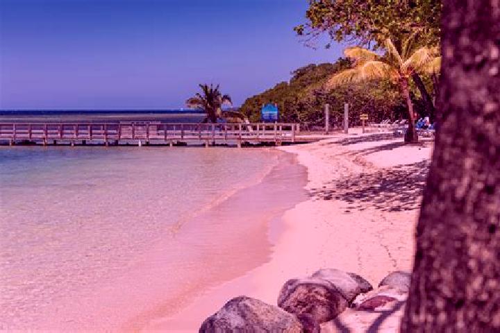 Sienna, 35 — Escort in Sandy Bay, Honduras