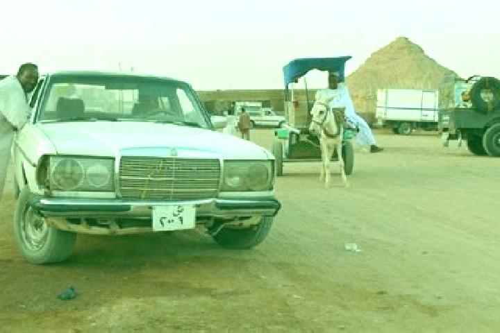 Sienna, 35 — Escort in Wadi Halfa, Sudan