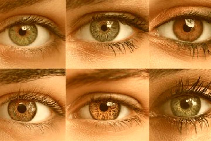 Sienna, 36, a chestnut hazel-eyed caribbean companion based in Koolbaai. Offering 69, OWO, Overnight, Duos. Available for incall and outcall, day and evening...