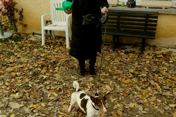 Sienna, 36 — Escort in Beaurepaire-en-Bresse, France
