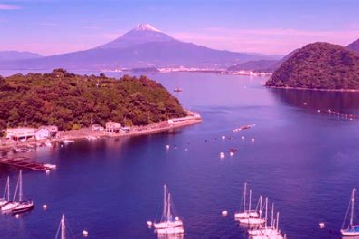 Sienna, 36 — Escort in Numazu, Japan