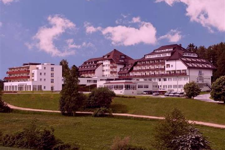 Sienna, 37 — Escort in Treibach, Austria