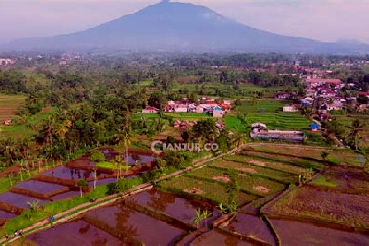 Sienna, 38 — Escort in Balegede, Indonesia