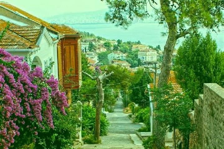 Sienna, 38 — Escort in Heybeli, Turkey