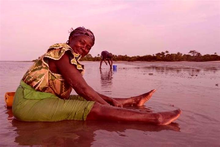 Sienna, 38 — Escort in Jifarong, Gambia